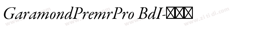 GaramondPremrPro BdI字体转换